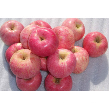 New Crop FUJI Apple with High Quality